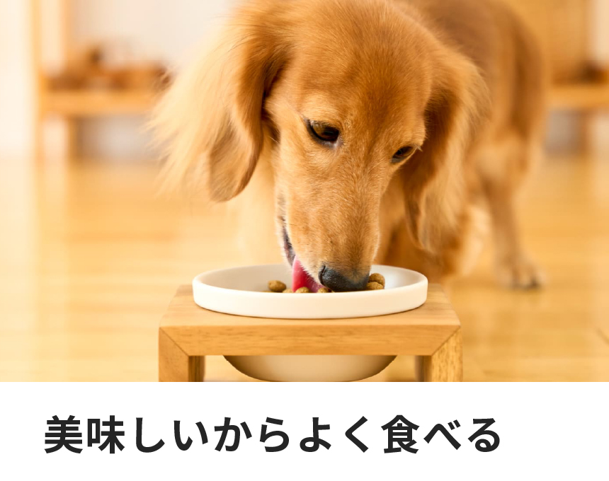 体重管理用｜Dr.'s（ドクターズ）| ペットライン