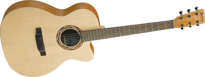 Martin & Co. XC1T ellipse カッタウェイ Martin & Co. XC1T ellipse