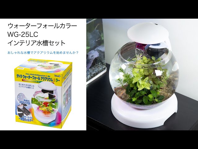 チャーム】ウォーターフォールカラー WG－25LC インテリア水槽