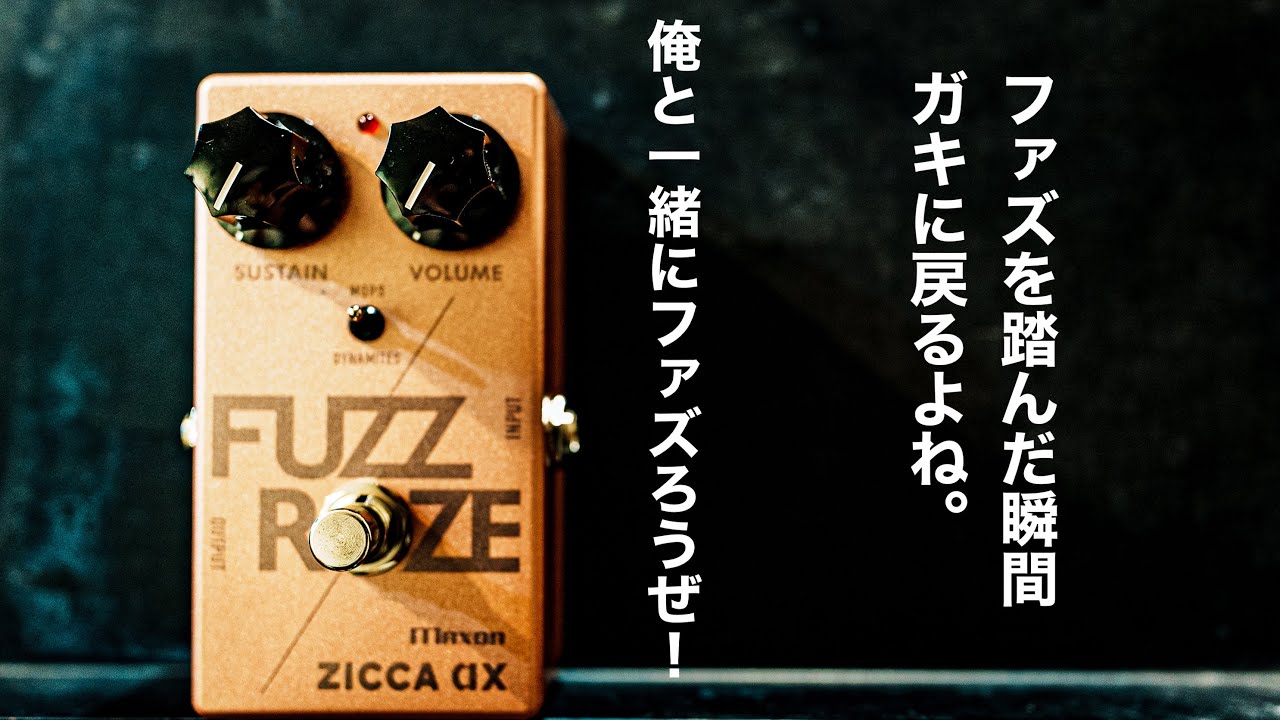 HIZMASZO エフェクター char zicca ax HIZMASZO エフェクター char