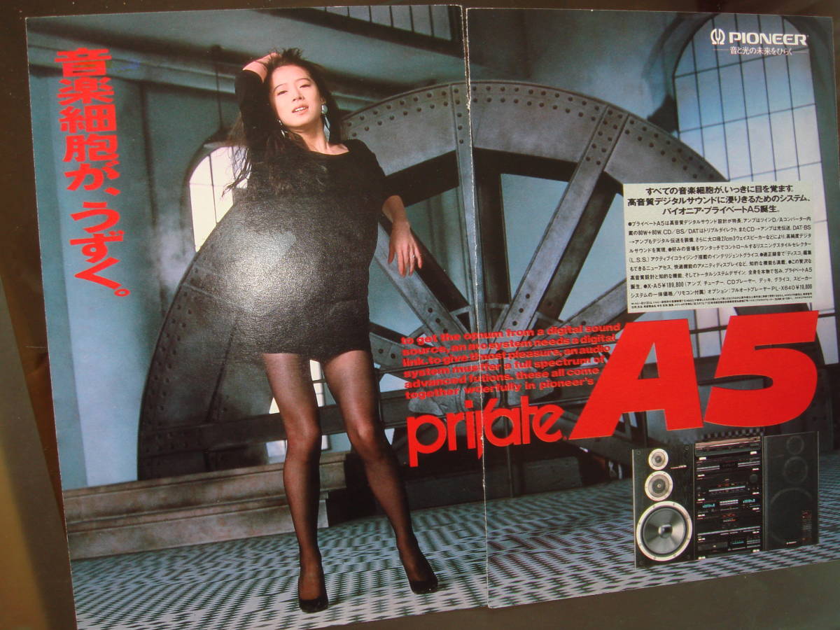 中森明菜 B1サイズ ポスター パイオニア Pioneer Private ⑫ / 中森明菜』