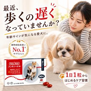 アンチノールプラス 60粒入り : 仁友堂 - 通販 - Yahoo!ショッピング