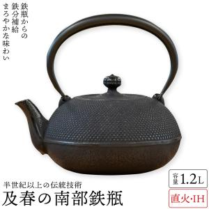 及源鋳造 南部鉄器 盛栄堂 鉄瓶 てつびん 鋳造 伝統工芸 ガス 及源