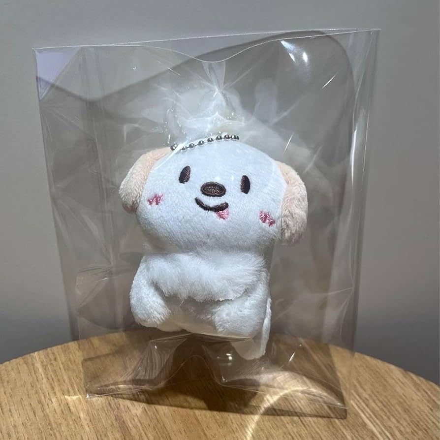 Amazon.co.jp: 韓流ショップ購入 RIIZE アントン ぬいぐるみ
