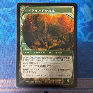 Foil ドライアドの東屋/Dryad Arbor[FUT] 土地U 1枚 Foil ドライアドの