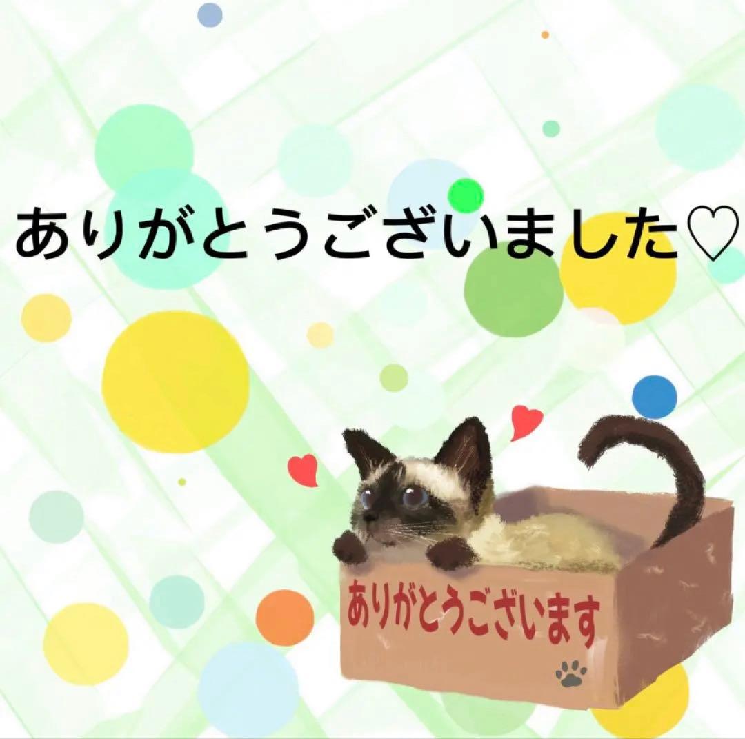 6856】海外マステ巻売り貝殻光マスキングテープ