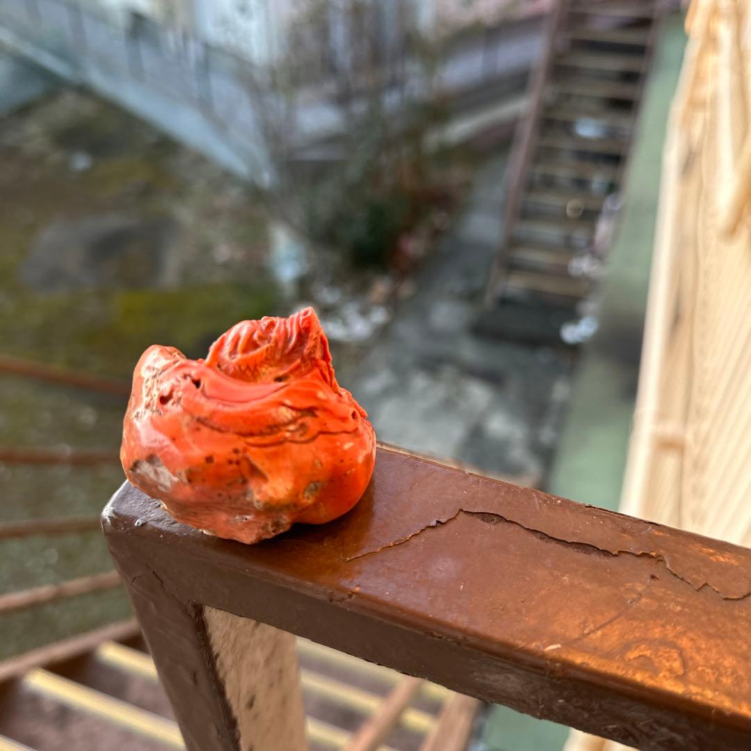 赤珊瑚 根付 大名 根付 龍