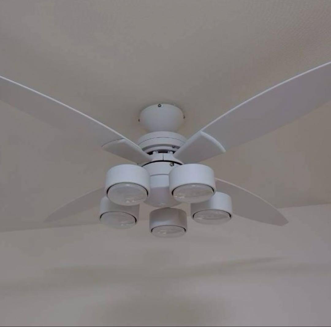 DAIKO シーリングファン＆ライト DAIKO 大光電機 シーリングファン（蛍光灯90W・電球色） 【8～10畳用