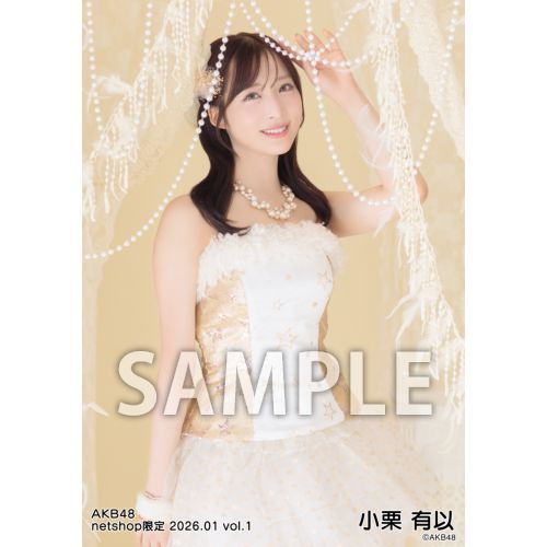 予約商品】AKB48 2026年1月度 net shop限定個別生写真5枚セットvol.1